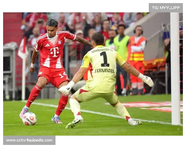 汉堡武什科维奇头球破拜仁，保级队后卫展现价值